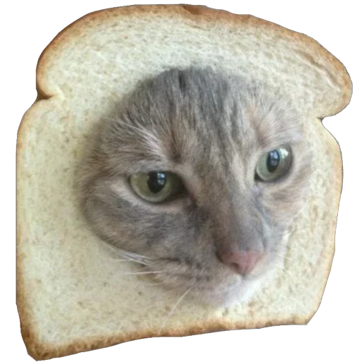 🍞 Стикер «Bread Cats» для Telegram