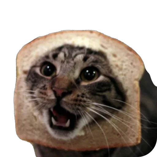 🍞 Стикер «Bread Cats» для Telegram