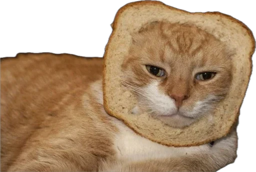 🍞 Стикер «Bread Cats» для Telegram