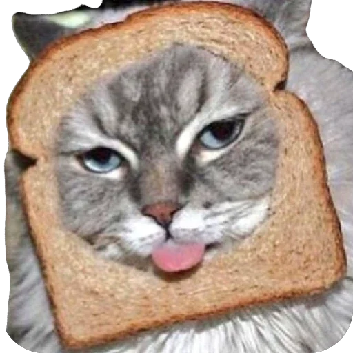 🍞 Стикер «Bread Cats» для Telegram