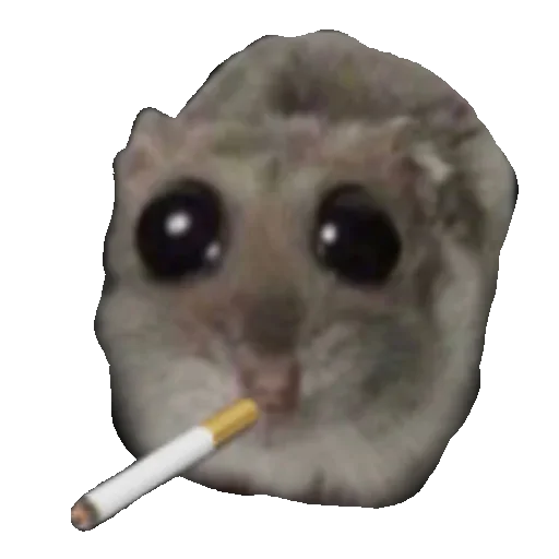 🚬 Стикер «хомяк из тт» для Telegram