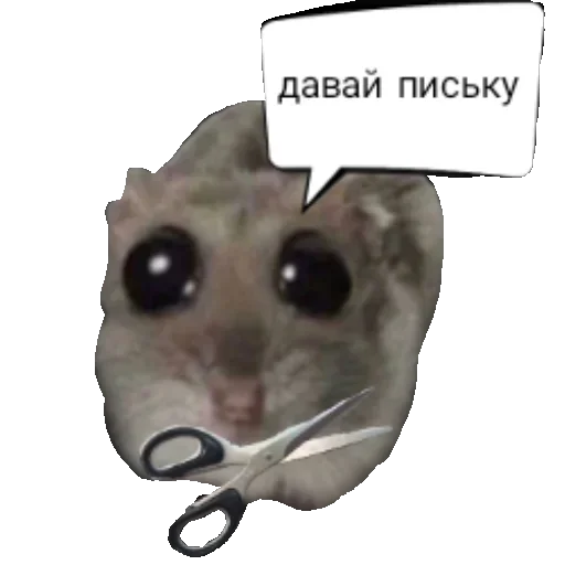 ☺ Стикер «хомяк из тт» для Telegram