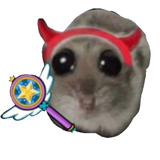 🪄 Стикер «хомяк из тт» для Telegram