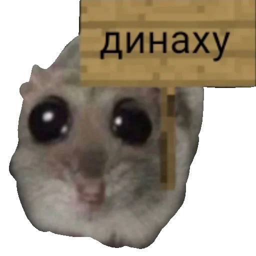 🖕 Стикер «хомяк из тт» для Telegram