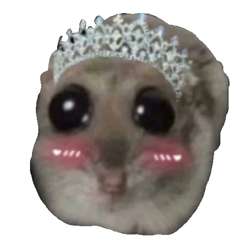 👸 Стикер «хомяк из тт» для Telegram
