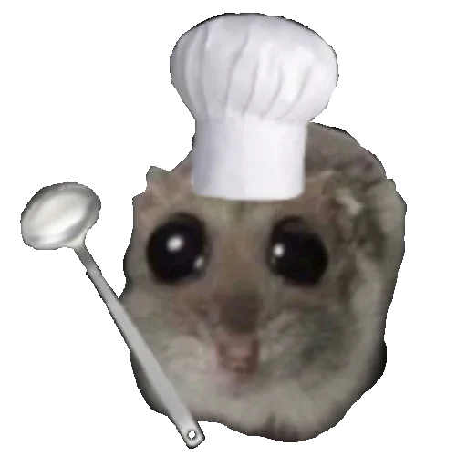 👩‍🍳 Стикер «хомяк из тт» для Telegram