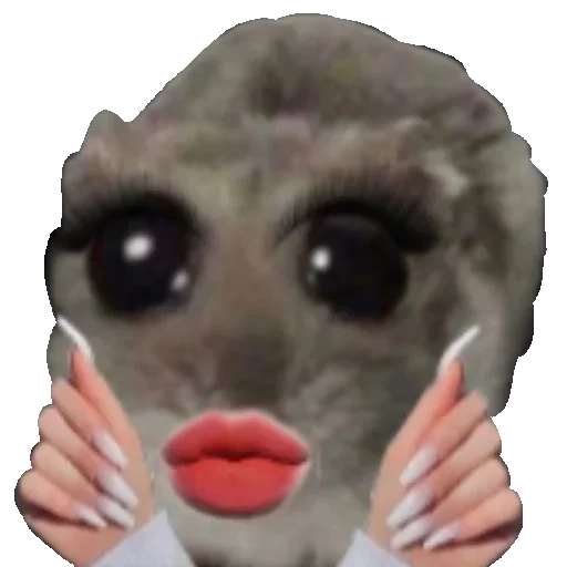 💅 Стикер «хомяк из тт» для Telegram