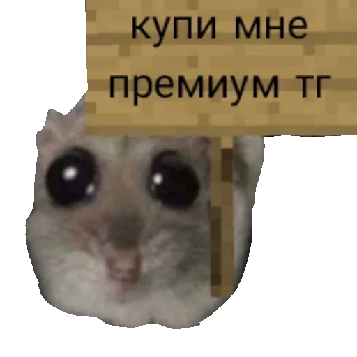🙏 Стикер «хомяк из тт» для Telegram
