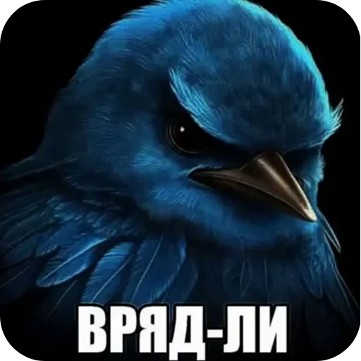 🐦 Стикер «Хрюндели» для Telegram