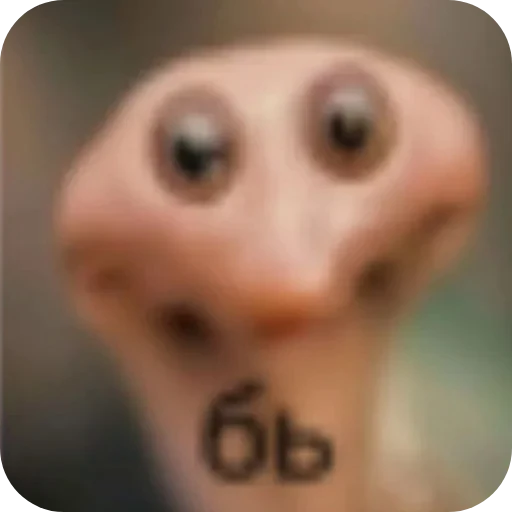 🤲 Стикер «Хрюндели» для Telegram