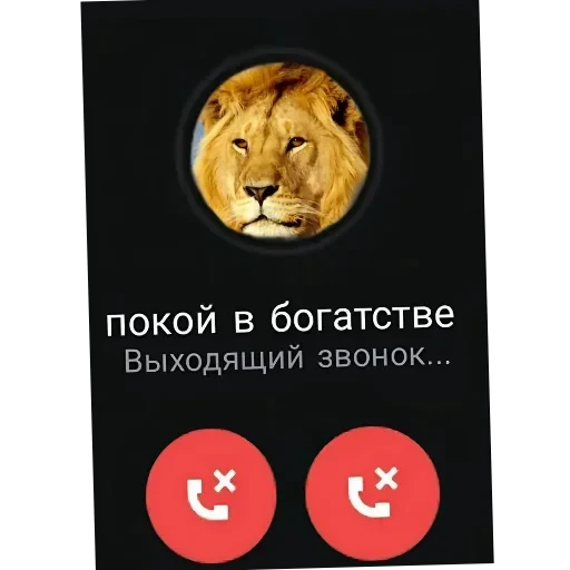 🐶 Стикер «Хрюндели» для Telegram