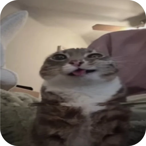 🐱 Стикер «Хрюндели» для Telegram