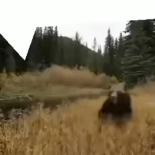 🐻 Стикер «Хрюндели» для Telegram