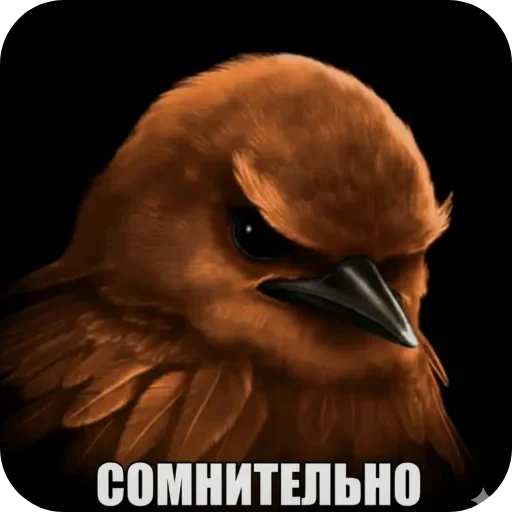 🐦 Стикер «Хрюндели» для Telegram