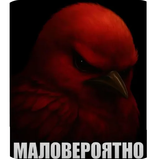 🐦 Стикер «Хрюндели» для Telegram