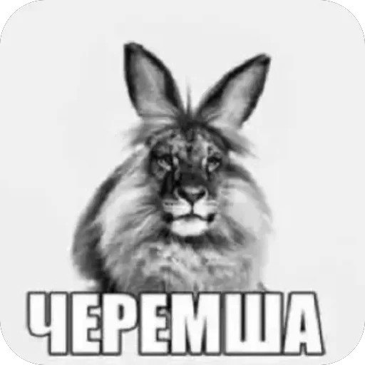 🫥 Стикер «Хрюндели» для Telegram