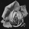 Стикер 38 Marilyn Monroe