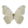 Стикер 21 ᑲᥱGᥱ