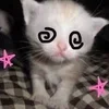 Стикер 47 #ILOVECATS!