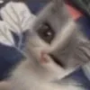 Стикер 40 #ILOVECATS!