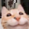 Стикер 58 #ILOVECATS!