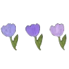 🌷 Эмодзи «𝖵𝗂𝗈𝗅𝖾𝗍𝗍♡» для Telegram