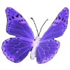 🦋 Эмодзи «𝖵𝗂𝗈𝗅𝖾𝗍𝗍♡» для Telegram