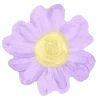 🌸 Эмодзи «𝖵𝗂𝗈𝗅𝖾𝗍𝗍♡» для Telegram