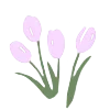 🌷 Эмодзи «𝖵𝗂𝗈𝗅𝖾𝗍𝗍♡» для Telegram