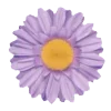 Стикер 51 𝖵𝗂𝗈𝗅𝖾𝗍𝗍