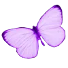 Стикер 41 𝖵𝗂𝗈𝗅𝖾𝗍𝗍