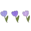 Стикер 24 𝖵𝗂𝗈𝗅𝖾𝗍𝗍