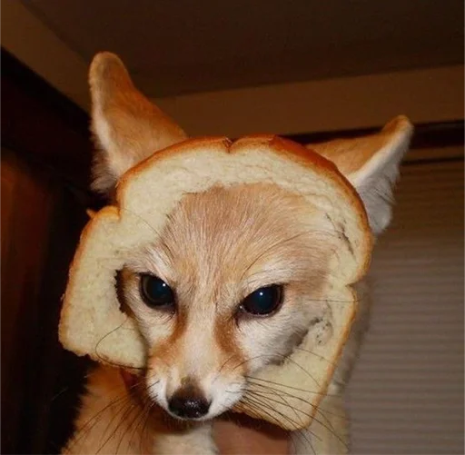 🍞 Стикер «Im Fennec» для Telegram