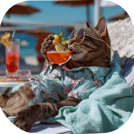 🍸 Стикер «Brainrot animals» для Telegram