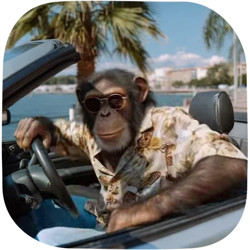 🦍 Стикер «Brainrot animals» для Telegram