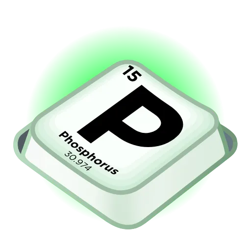 Стикер 17 Input Key
