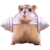 Стикер 8 Hamsters - для настоящих любителей Хомяков 🐹