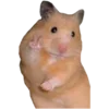 Стикер 11 Hamsters - для настоящих любителей Хомяков 🐹