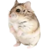 Стикер 3 Hamsters - для настоящих любителей Хомяков 🐹