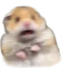Стикер 10 Hamsters - для настоящих любителей Хомяков 🐹