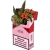 Стикер 32 ℙ𝕚𝕟𝕜 𝕒𝕕𝕕𝕚𝕔𝕥𝕚𝕠𝕟
