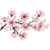 Стикер 43 ℙ𝕚𝕟𝕜 𝕒𝕕𝕕𝕚𝕔𝕥𝕚𝕠𝕟