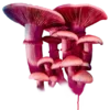 Стикер 2 ℙ𝕚𝕟𝕜 𝕒𝕕𝕕𝕚𝕔𝕥𝕚𝕠𝕟