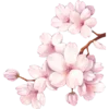 Стикер 44 ℙ𝕚𝕟𝕜 𝕒𝕕𝕕𝕚𝕔𝕥𝕚𝕠𝕟