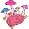 Стикер 12 ℙ𝕚𝕟𝕜 𝕒𝕕𝕕𝕚𝕔𝕥𝕚𝕠𝕟