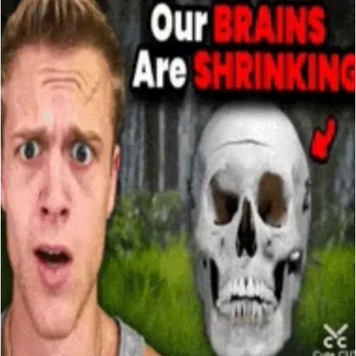🧠 Стикер «insta reels» для Telegram