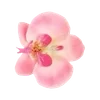 🌟 Эмодзи «Интерны ⟢ cr» для Telegram