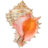 Стикер 50 Sea Invertebrates