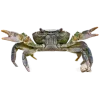 Стикер 4 Sea Invertebrates