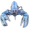 Стикер 14 Sea Invertebrates